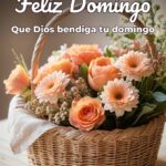 feliz domingo que dios bendiga tu domingo