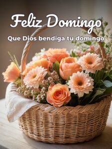 Domingo feliz frases para WhatsApp