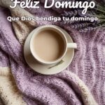 feliz domingo que dios bendiga tu domingo