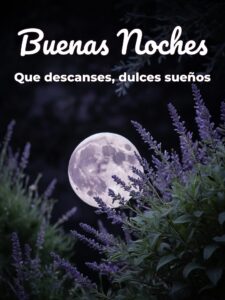 Dulces palabras de buenas noches para WhatsApp