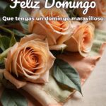 feliz domingo que tengas un domingo maravilloso