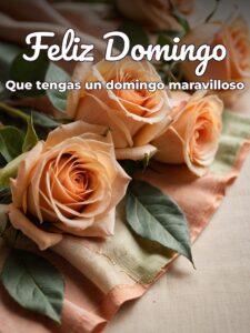 Excelente domingo amor para WhatsApp