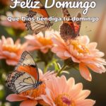 feliz domingo que dios bendiga tu domingo