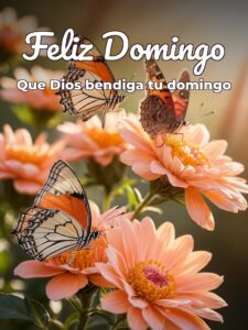 Excelente domingo frases para WhatsApp