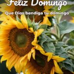 feliz domingo que dios bendiga tu domingo