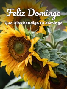Excelente domingo para WhatsApp