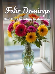 Facebook de domingo para todos para celular