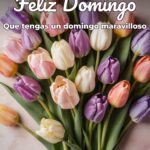 feliz domingo que tengas un domingo maravilloso