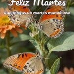 feliz martes que tengas un martes maravilloso