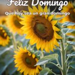 feliz domingo que hoy sea un gran domingo