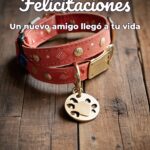 felicitaciones por nueva mascota