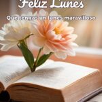 feliz lunes que tengas un lunes maravilloso