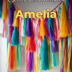 feliz cumpleaños amelia