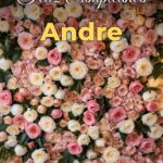 feliz cumpleaños andre