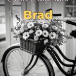 feliz cumpleaños brad