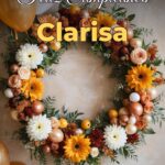 feliz cumpleaños clarisa