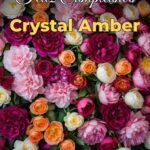 feliz cumpleaños crystal amber