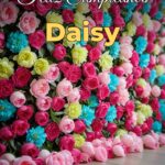 feliz cumpleaños daisy