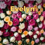 feliz cumpleaños evelyn