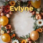 feliz cumpleaños evlyne