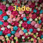 feliz cumpleaños jade