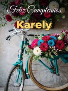 Feliz cumpleaños karely