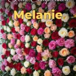 feliz cumpleaños melanie