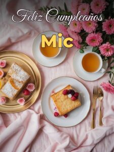 Feliz cumpleaños mic