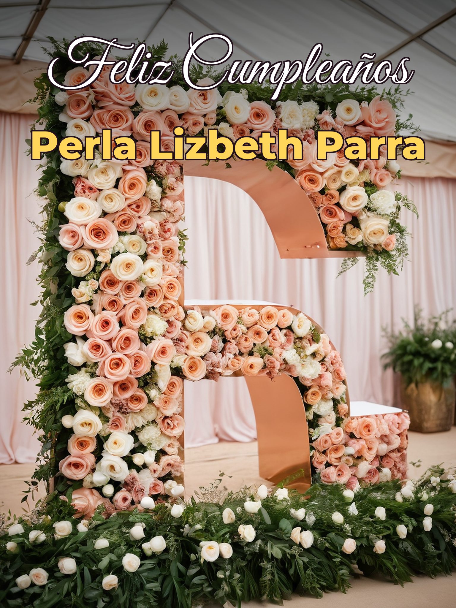 Feliz cumpleaños perla lizbeth parra