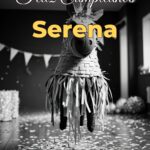 feliz cumpleaños serena