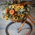 feliz cumpleaños xico