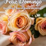 feliz domingo que dios bendiga tu domingo