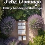 feliz domingo feliz y bendecido domingo
