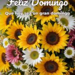 feliz domingo que hoy sea un gran domingo