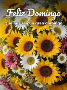 Feliz día domingo para WhatsApp