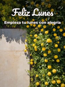 Feliz día lunes