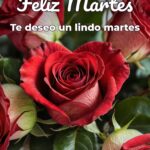 feliz martes te deseo un lindo martes