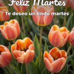 feliz martes te deseo un lindo martes
