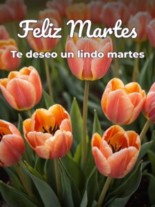Feliz día martes para WhatsApp gratis para celular