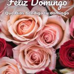 feliz domingo que dios bendiga tu domingo
