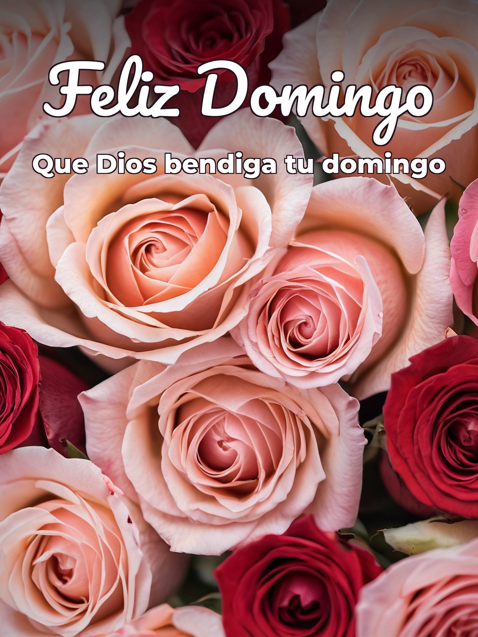 Feliz domingo amor frases para WhatsApp