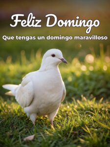 Feliz domingo con Dios para celular