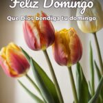 feliz domingo que dios bendiga tu domingo