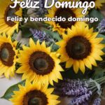 feliz domingo feliz y bendecido domingo
