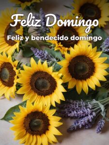 Feliz domingo cristiano para celular