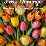 feliz domingo que hoy sea un gran domingo