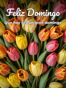 Feliz domingo día del señor para celular