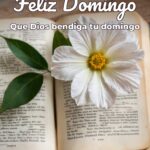 feliz domingo que dios bendiga tu domingo
