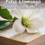 feliz domingo que tengas un domingo maravilloso