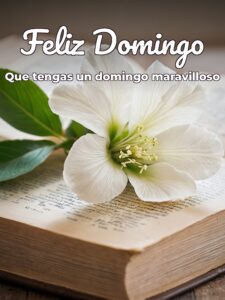 Feliz domingo Dios te bendiga frases para celular